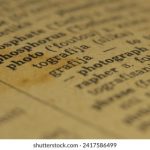 玩转伟博娱乐:新手玩家必知的游戏技巧与策略 342307497