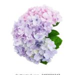 玩转十三张平台:新手必知的游戏规则与注意事项 370dbnuvu