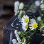 81444开奖现场直播全程高清实况记录 9xx5u