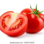 80体育在线直播:畅享全球顶级赛事高清观看体验 bsblq