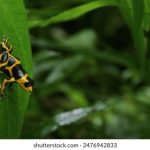 玩转如意坊娱乐:多元化活动让你乐享不停 rkp5tq8