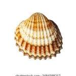 818开奖网官方开奖公告与最新彩讯发布 x33mw4q39